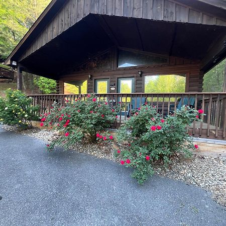 Beary Tale! Your Happily Ever After Starts Here! Sevierville Εξωτερικό φωτογραφία